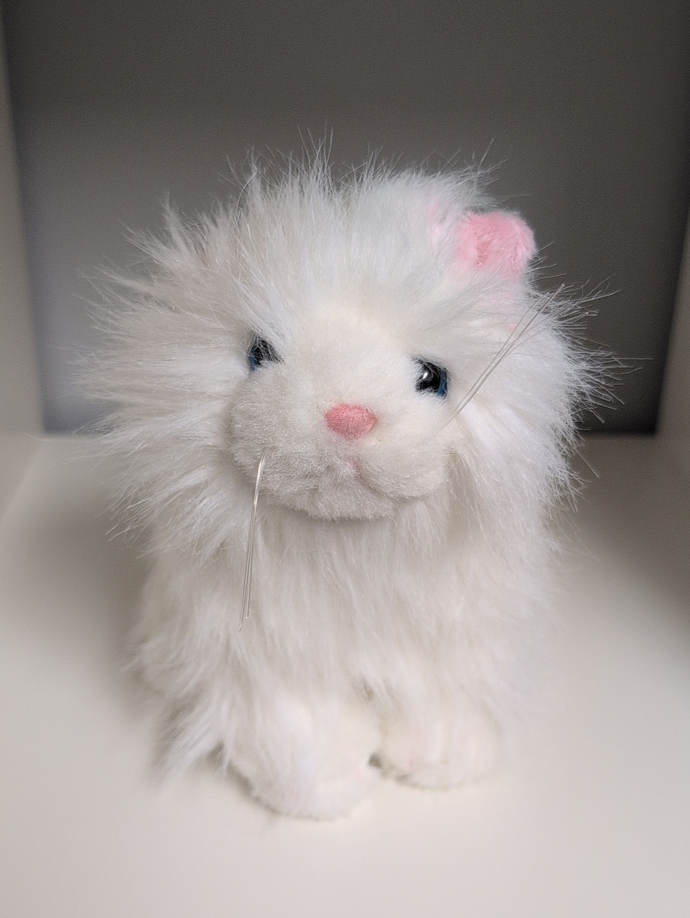 💜2/$20💜 Webkinz Persian Cat HM110 No Code Collectible Plush GANZ Kitten